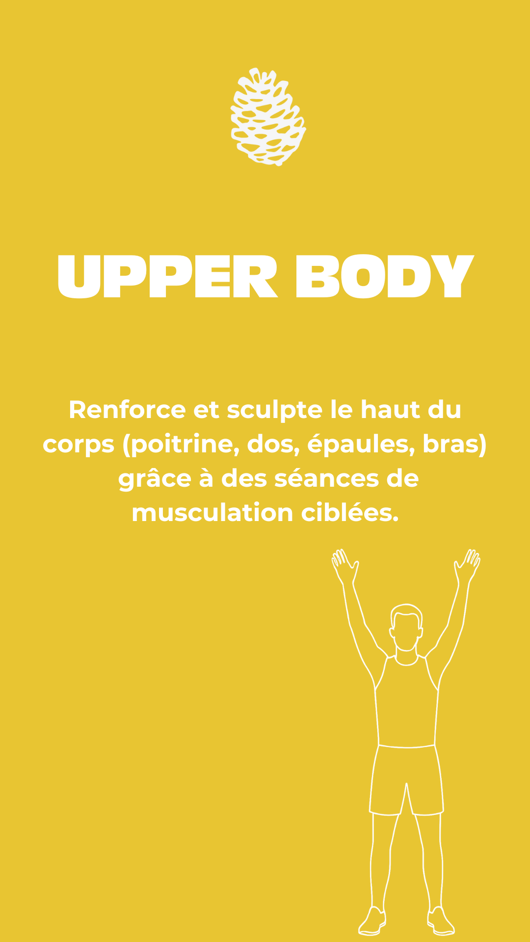 Upper body